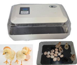 Инкубатор для куриных яиц автоматический