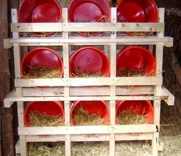 Гнезда для кур-несушек из пластиковых ведер