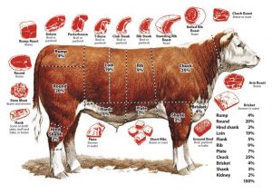 Почему корова говядина