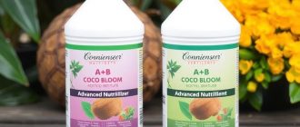 Advanced Nutrients Connoisseur Coco Bloom A+B: Разбираемся в деталях удобрения для кокосового субстрата