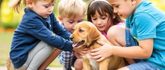 Социализация щенка с детьми: как выращивать дружбу без проблем