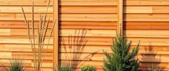Заборы из термодревесины: тепло в структуре и эстетика в заборе
