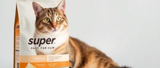 Суперпремиум корм для кошки: почему он стоит дороже и действительно ли нужен вашему питомцу