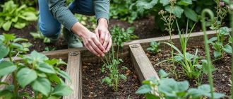 ЭМ-препараты в огороде: что реально работает, а что остается красивой упаковкой