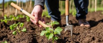 Обзор ручных культиваторов для тяжёлых почв: что действительно помогает работать без лишней усталости