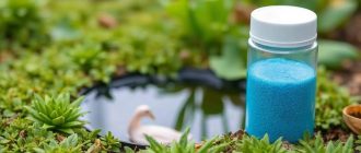 Расчёт дозировки медного купороса для весенней обработки: как не переборщить и получить нужный эффект