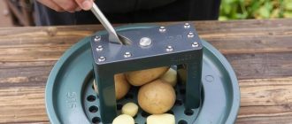 Как выбрать окучник для картофеля: что действительно важно перед покупкой