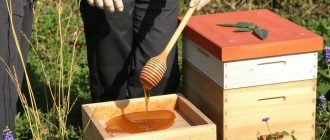 Как забирать мёд с ульев без лишней суеты и ошибок
