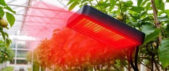 Инфракрасные обогреватели для теплиц: обзор, который помогает выбрать без лишней суеты