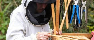 Пчеловодный инвентарь: костюмы, сетки, щипцы и то, без чего работа на пасеке быстро становится неудобной
