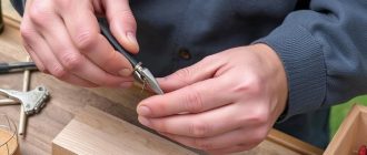 Копулировка и расщеп: инструменты для весенней прививки, которые решают многое с первого среза