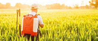Как выбрать опрыскиватель: помповый, ранцевый или аккумуляторный