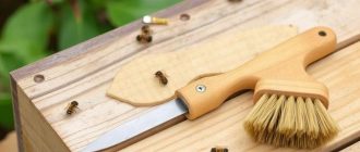 Инструменты пчеловода: дымарь, стамеска, кисть в работе на пасеке