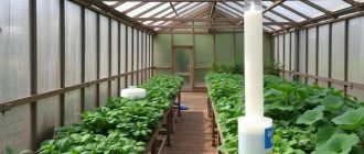 Обеззараживание теплицы серной шашкой: инструкция без лишней суеты