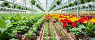 Как подобрать удобрения для тепличных культур без лишних трат и ошибок